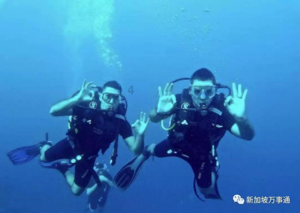 济南地玖生物的大量元素水溶肥听说效果特别好,有没有用过的?知识问答网页,迅速解答你的疑问